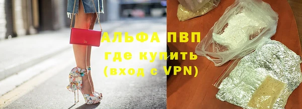 сатива Нефтекумск
