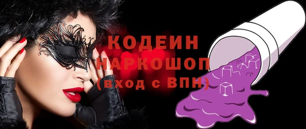 индика Нея