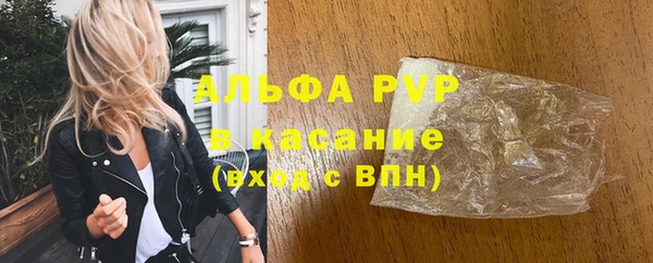 сатива Нефтекумск