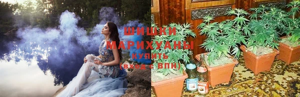 МДПВ Нефтегорск