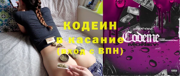 индика Нея
