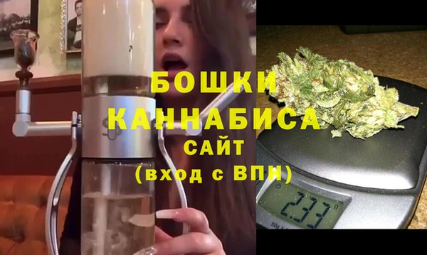 сатива Нефтекумск