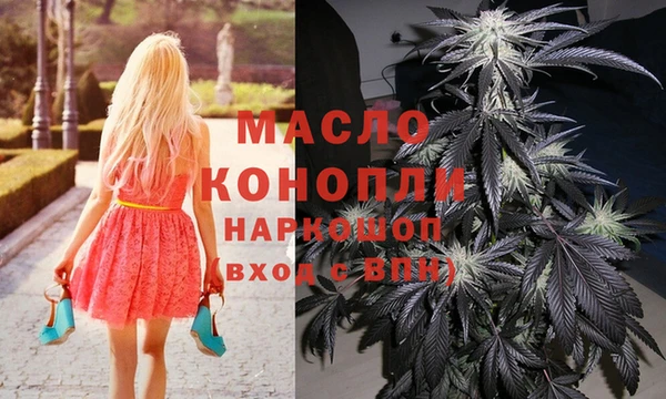 индика Нея