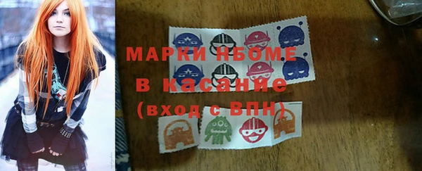 индика Нея