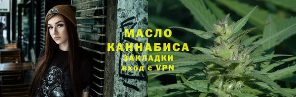 индика Нея