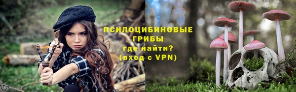 индика Нея