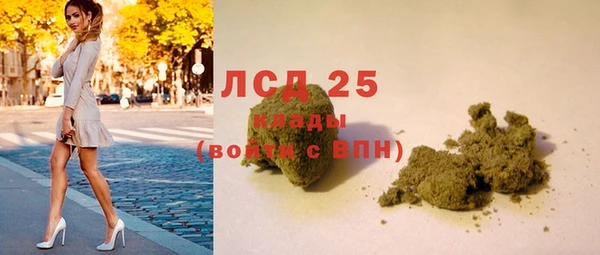 индика Нея
