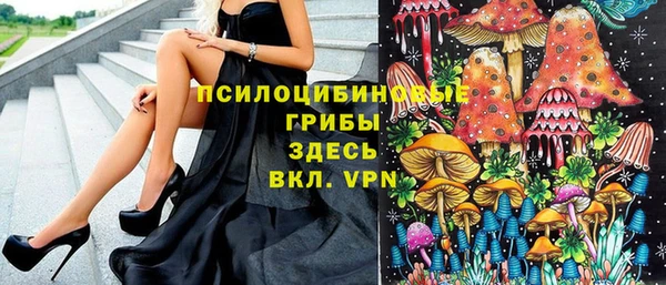 ГАЛЛЮЦИНОГЕННЫЕ ГРИБЫ Туринск