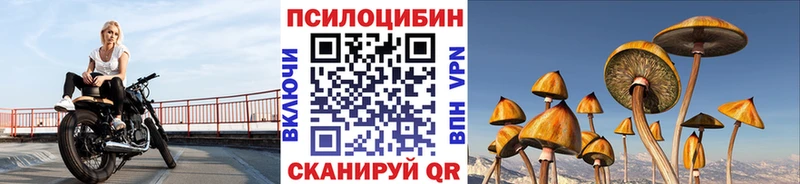 как найти закладки Терек Галлюциногенные грибы прущие грибы